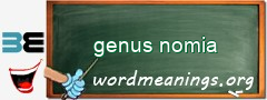 WordMeaning blackboard for genus nomia